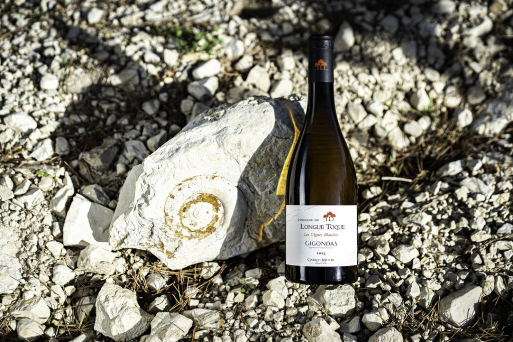 wine photography studio