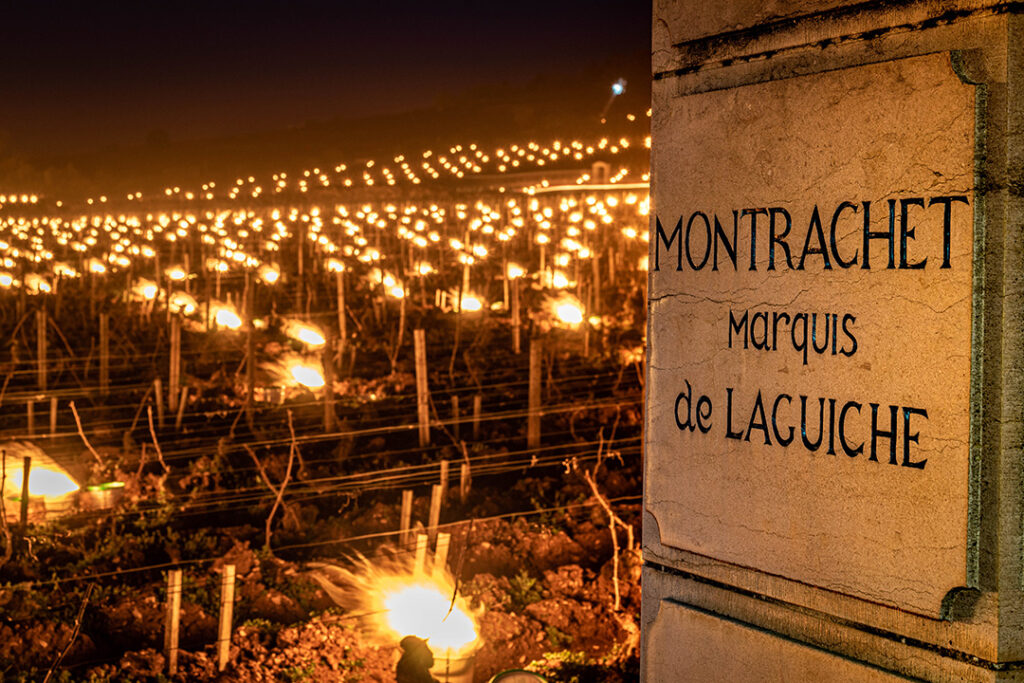 Montrachet Frost Burgundy